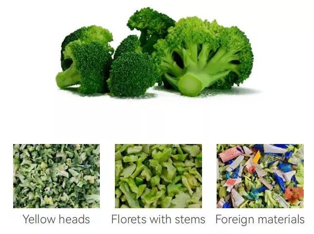 IQF frozen broccoli inspection with AI optical sorting and X-Ray