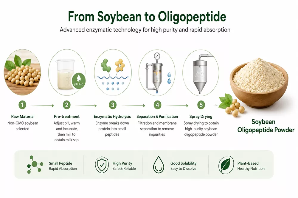 soybean peptide 2.png